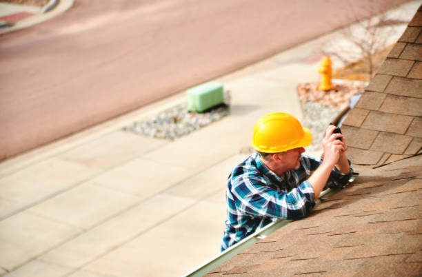 Best Roof Insulation Installation  in Port Byron, IL