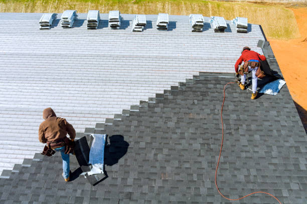 Best Storm Damage Roof Repair  in Port Byron, IL