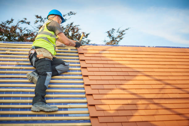 Best Roof Moss and Algae Removal  in Port Byron, IL